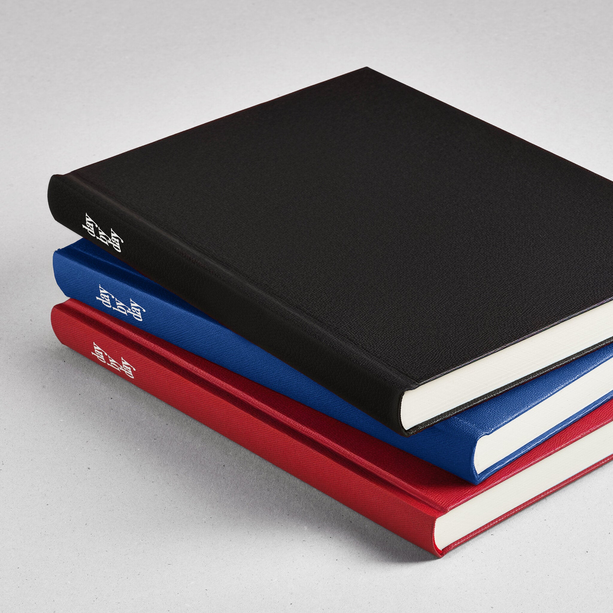 DAY BY DAY AGENDA GIORNALIERA DAY BY DAY BLU